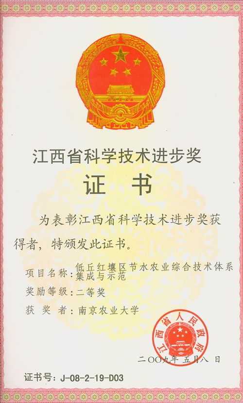 赌博游戏app