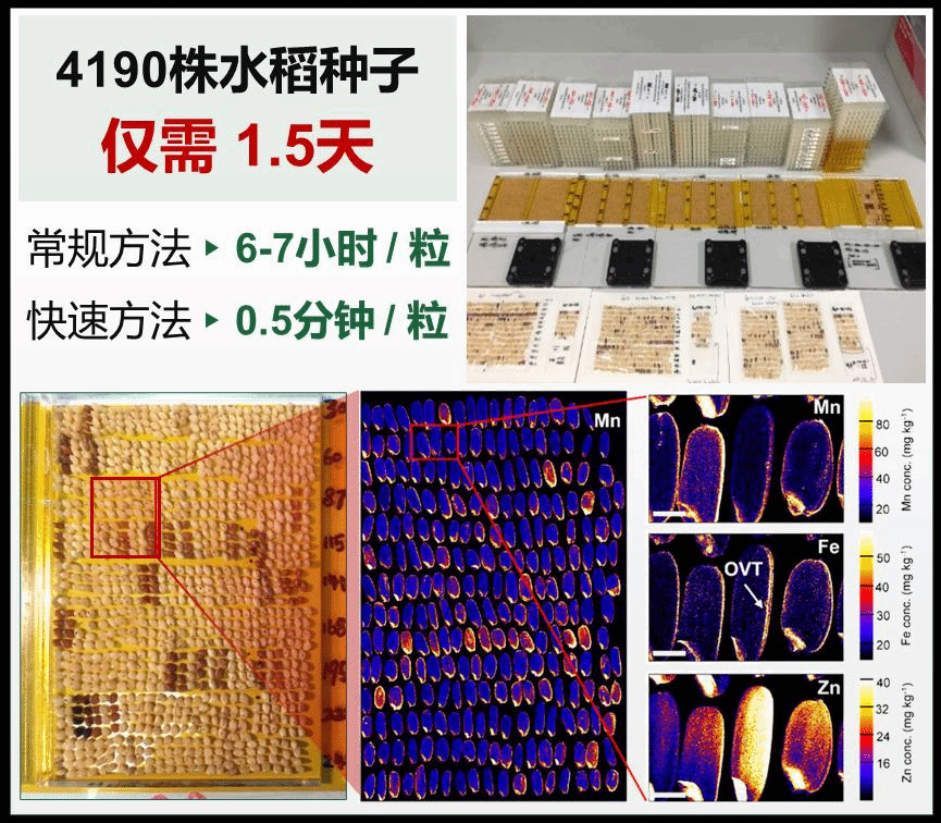 赌博游戏app