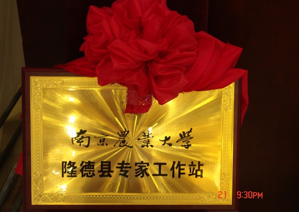 赌博游戏app